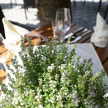 Zum Goldenen Loewen Hotel 3*