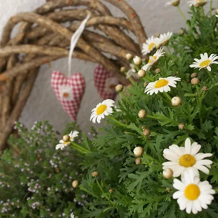 Zum Goldenen Loewen 3*