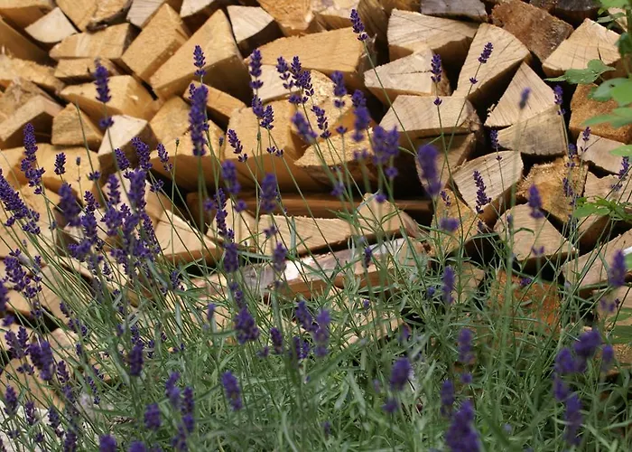 Отель Zum Goldenen Loewen 3*