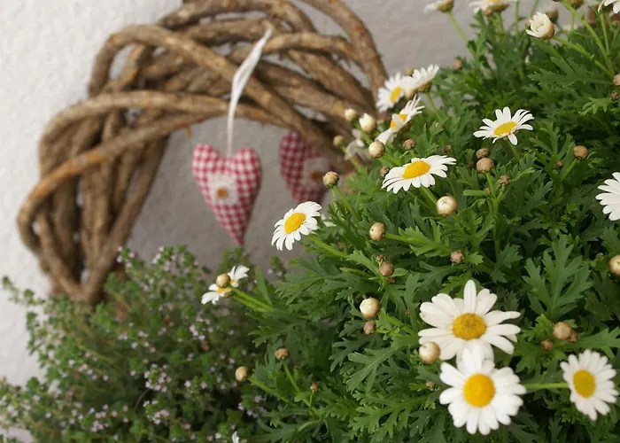 Zum Goldenen Loewen 3*